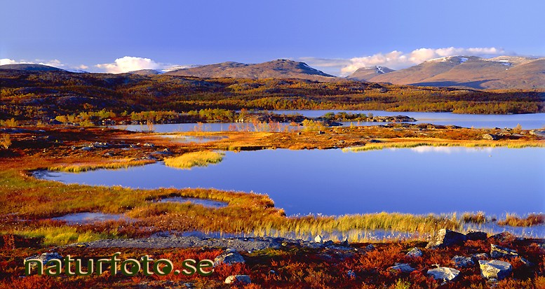 Paktajaure, baktajavri lappland  