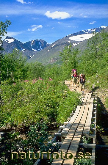 Fj�llvandring p� sp�ng , laddjuvaggi, tolpagorni, duolbagorni, kebnekaise, sydtoppen, lappland  